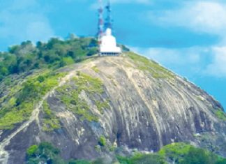 කුරුණෑගල ඇතුගලෙන් බිමට පුද්ගලයෙක් ඇඳ වැටෙයි