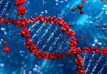 මිනිසා වඳවීමේ අවධානමක් පවතින බවට විද්යාඥයන්ගෙන් අනාවරණයක්