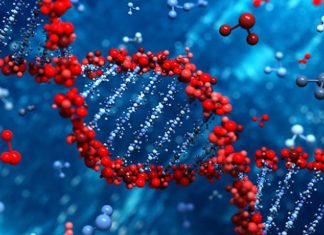 මිනිසා වඳවීමේ අවධානමක් පවතින බවට විද්යාඥයන්ගෙන් අනාවරණයක්