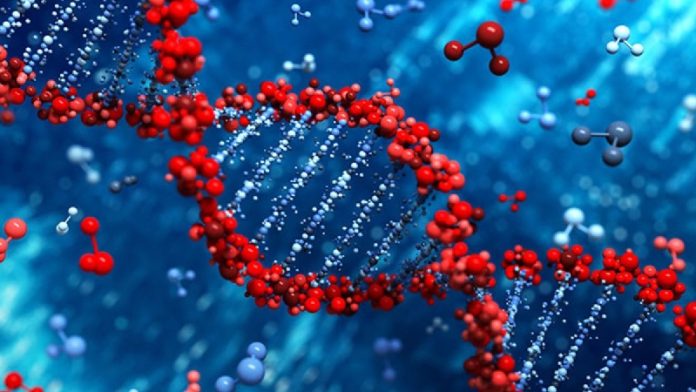 L1KN1xkKbDb0LysT_1.-Cover_copy_800x450