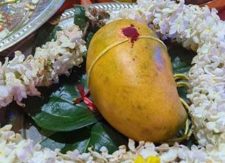 රුපියල් 285,000 කට වෙන්දේසි වූ අඹ ගෙඩිය