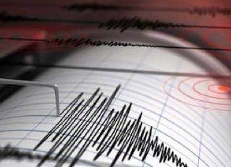 තායිවානයට ප්රබල භූ කම්පනයක්