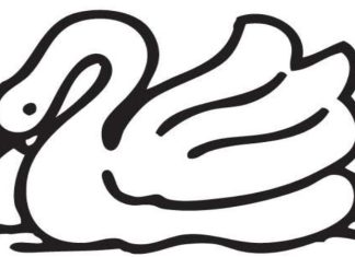 හංසයා රනිල්ට!