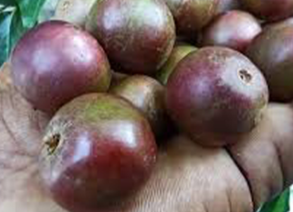 දියවැඩියාව මට්ටු කරන කදිම ඔසුවක්