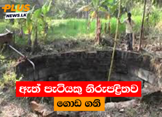 ඇත් පැටියකු නිරුපද්රිතව ගොඩ ගනි