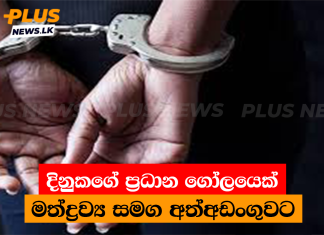 දිනුකගේ ප්රධාන ගෝලයෙකු මත්ද්රව්ය සමග අත්අඩංගුවට