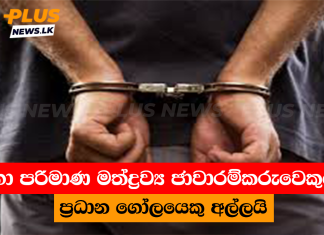 මහා පරිමාණ මත්ද්රව්ය ජාවාරම්කරුවෙකුගේ ප්රධාන ගෝලයෙකු අල්ලයි