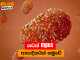 තවත් mpox ආසාදිතයින් හමුවේ