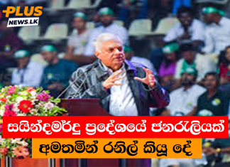 සයින්දමර්දු ප්රදේශයේ ජනරැලියක් අමතමින් රනිල් කියූ දේ