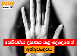 පෙම්වතිය දූෂණය කළ දෙදෙනෙක් අත්අඩංගුවට