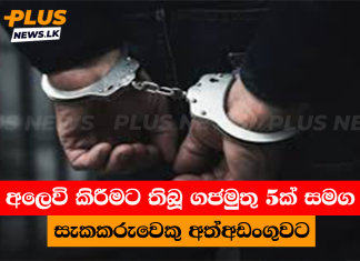 අලෙවි කිරීමට තිබූ ගජමුතු 5ක් සමග සැකකරුවෙකු අත්අඩංගුවට