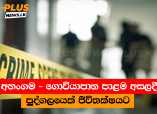 අහංගම – ගොවියාපාන පාළම අසලදී පුද්ගලයෙක් ජීවිතක්ෂයට
