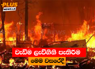 වැඩිම ලැව්ගිනි පැතිරීම මෙම වසරේදී