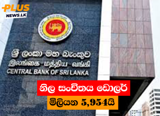 නිල සංචිතය ඩොලර් මිලියන 5,954යි