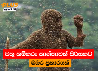 වතු කම්කරු කාන්තාවන් පිරිසකට බඹර ප්රහාරයක්