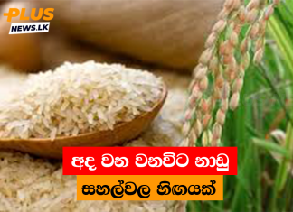 අද වන වනවිට නාඩු සහල්වල හිඟයක්