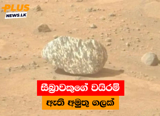 සීබ්රාවකුගේ වයිරම් ඇති අමුතු ගලක්