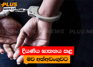 දියණිය ඝාතනය කළ මව අත්අඩංගුවට