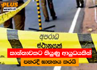 කාන්තාවකට තියුණු ආයුධයකින් පහරදී ඝාතනය කරයි