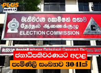 ජනාධිපතිවරණයට අදාළ පැමිණිලි සංඛ්යාව 3041ක්