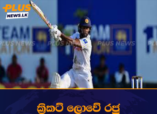 ක්රිකට් ලොවේ රජු Bradmanගේ වාර්තාව කමිඳු සමකරයි