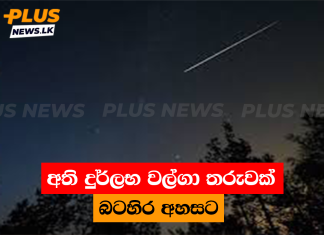 අති දුර්ලභ වල්ගා තරුවක් බටහිර අහසට