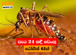 පැය 24 කදී ඩෙංගු රෝගීන් 61ක්