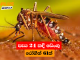 පැය 24 කදී ඩෙංගු රෝගීන් 61ක්
