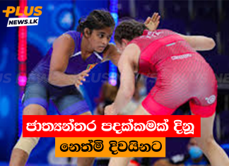 ජාත්යන්තර පදක්කමක් දිනූ නෙත්මි දිවයිනට