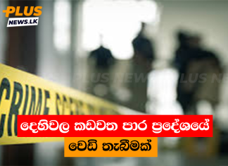දෙහිවල කඩවත පාර ප්රදේශයේ වෙඩි තැබීමක්