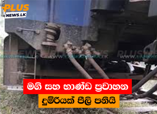 මගි සහ භාණ්ඩ ප්රවාහන දුම්රියක් පීලි පනියි