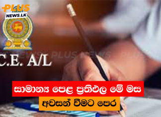 සාමාන්ය පෙළ ප්රතිඵල මේ මස අවසන් වීමට පෙර