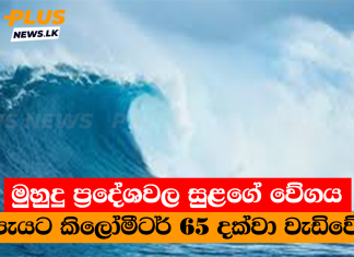 මුහුදු ප්රදේශවල සුළගේ වේගය පැයට කිලෝමීටර් 65 දක්වා