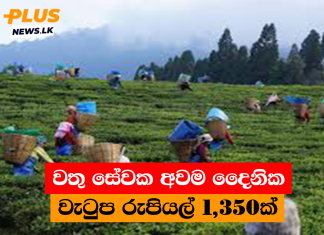 වතු සේවක අවම දෛනික වැටුප රුපියල් 1,350ක්