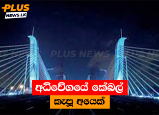 අධිවේගයේ කේබල් කැපූ අයෙක්