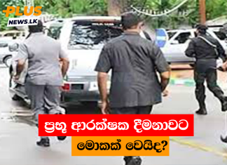 ප්රභූ ආරක්ෂක දීමනාවට මොකක් වෙයිද?