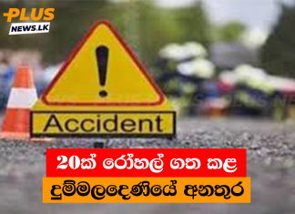 20ක් රෝහල් ගත කළ දුම්මලදෙණියේ අනතුර