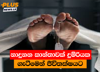 නාදුනන කාන්තාවක් දුම්රියක ගැටීමෙන් ජීවිතක්ෂයට