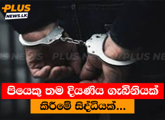 පියෙකු තම දියණිය ගැබිනියක් කිරීමේ සිද්ධියක්…