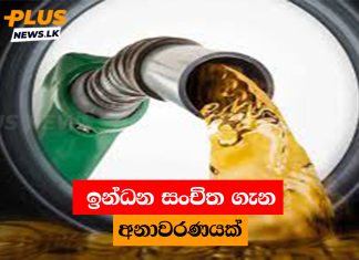 ඉන්ධන සංචිත ගැන අනාවරණයක්