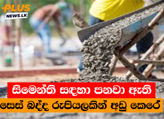 සිමෙන්ති සඳහා පනවා ඇති සෙස් බද්ද රුපියලකින් අඩු කෙරේ