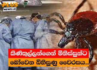 කිණිතුල්ලන්ගෙන් මිනිස්සුන්ට බෝවෙන බිහිසුණු වෛරසය..