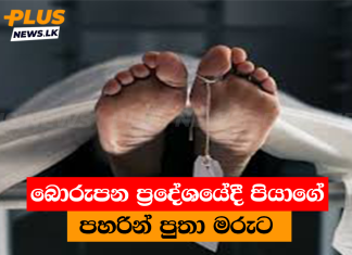 බොරුපන ප්රදේශයේදී පියාගේ පහරින් පුතා මරුට