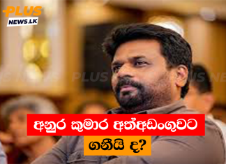 අනුර කුමාර අත්අඩංගුවට ගනීයි ද?