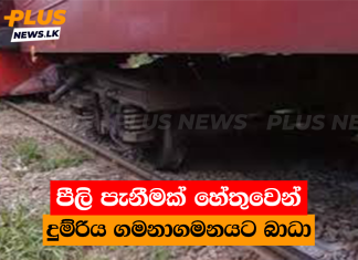පීලි පැනීමක් හේතුවෙන් දුම්රිය ගමනාගමනයට බාධා