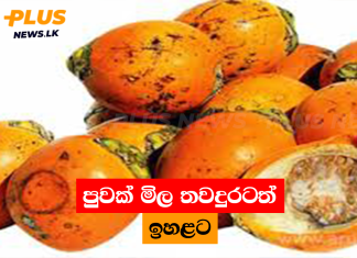 පුවක් මිල තවදුරටත් ඉහළට