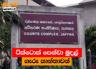 ටික්ටොක් පෙන්වා මුදල් ගැරූ කාන්තාවන්