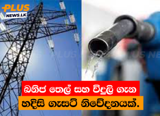 ඛනිජ තෙල් සහ විදුලි ගැන හදිසි ගැසට් නිවේදනයක්.