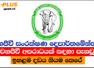 වනජීවී අපරාධයක් සඳහා පැනවූ ඉහළම දඩය නියම කෙරේ