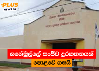 ගනේමුල්ලේ සංජීව දුරකතනයක් පොළවේ ගසයි